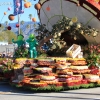 roseparade_6054