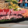 roseparade_6100