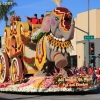 roseparade_6132