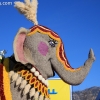 roseparade_6138