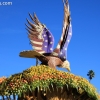 roseparade_6515
