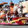 roseparade_7286