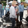 petadoption_8010