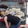 petadoption_8021