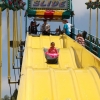 rides_5564