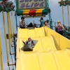 rides_5578