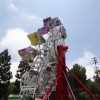 rides_5598