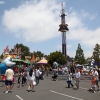 rides_5663