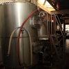 sanpedrobrewing_8279