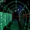 christmaslights_7623