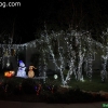 christmaslights_7624
