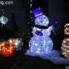 christmaslights_7625