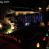 christmaslights_7631