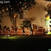 christmaslights_7646