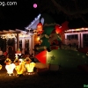 christmaslights_7653
