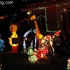 christmaslights_7658