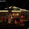 christmaslights_7668