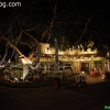 christmaslights_7671