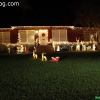 christmaslights_7675