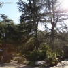 descansogardens_8794