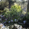 descansogardens_8796