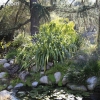 descansogardens_8797