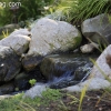 descansogardens_8801