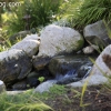 descansogardens_8802