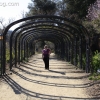 descansogardens_8822