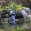 descansogardens_8888