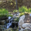 descansogardens_8898