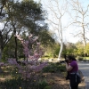 descansogardens_8913
