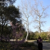 descansogardens_8914