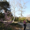 descansogardens_8915