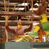 fiesta-floats_8774