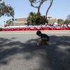 parade_1136