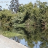 la-river-rally_2101