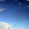 balloonfiesta_8054