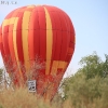 balloonfiesta_8369