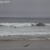 redondobeach_3599