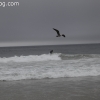 redondobeach_3636