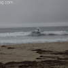 redondobeach_3715