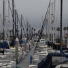 redondobeach_3718