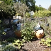 gardens_1401