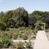gardens_1419