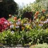 gardens_1483