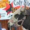 codyrodeo_5051