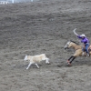 codyrodeo_5071