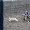 codyrodeo_5072