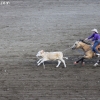 codyrodeo_5074